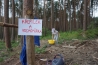 DSC01801.JPG