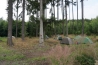 DSC02181.JPG