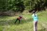 DSC05727.JPG