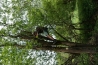 DSC05740.JPG