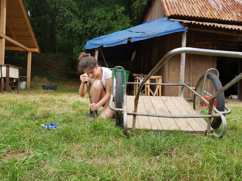 Klikněte pro zobrazení původního (velkého) obrázku