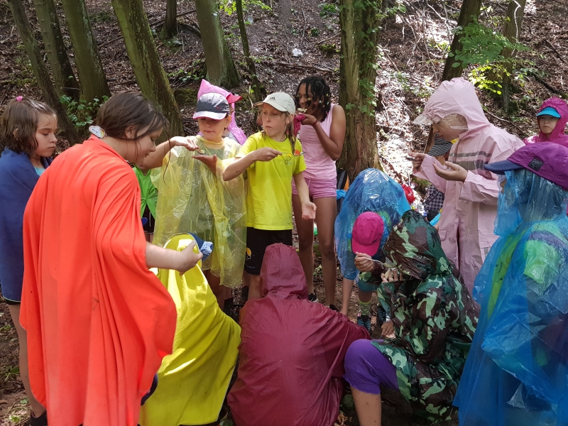 Klikněte pro zobrazení původního (velkého) obrázku