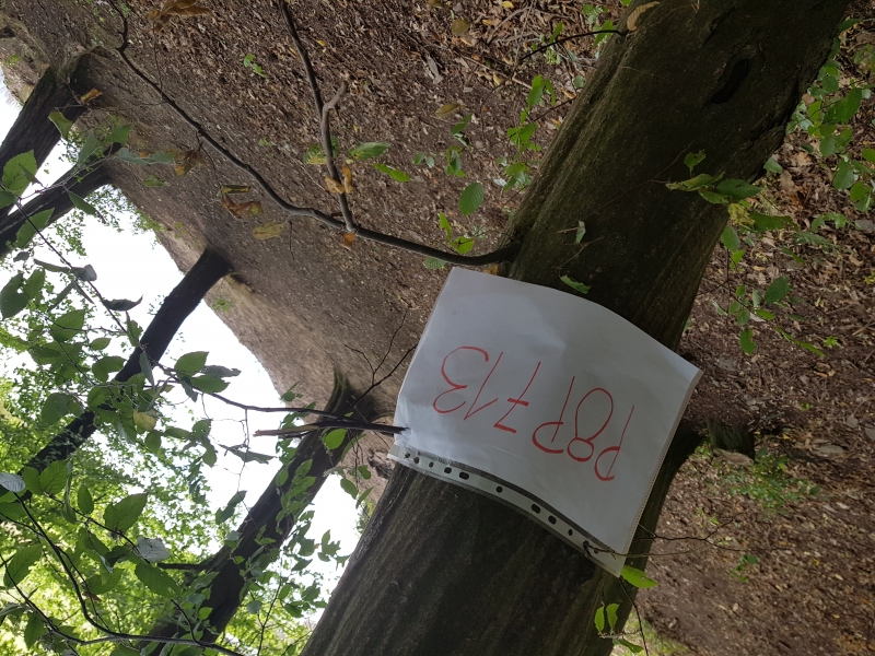 Klikněte pro zobrazení původního (velkého) obrázku