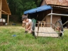 20180629_171149.jpg