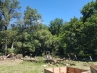 20180630_122408.jpg