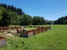 20180630_123825.jpg
