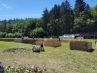 20180630_123946.jpg