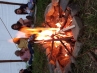 20180705_201949.jpg