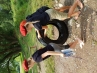 20180706_111346.jpg