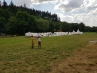 20180709_094704.jpg
