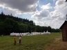 20180709_094705.jpg