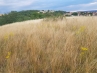 20180712_201133.jpg