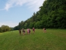 20180714_181446.jpg