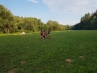 20180716_183420.jpg