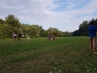 20180716_185358.jpg