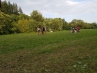 20180716_185359.jpg