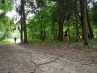 20180717_155755.jpg