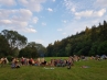 20180720_195435.jpg