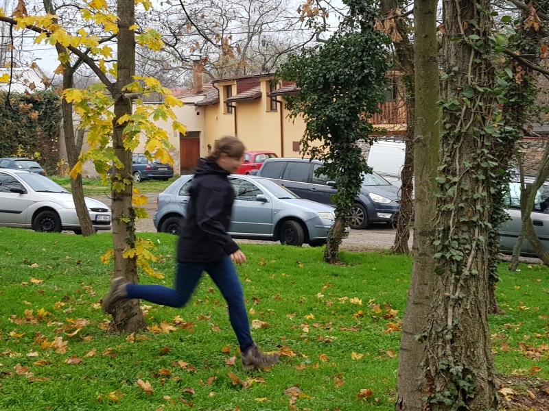 Klikněte pro zobrazení původního (velkého) obrázku