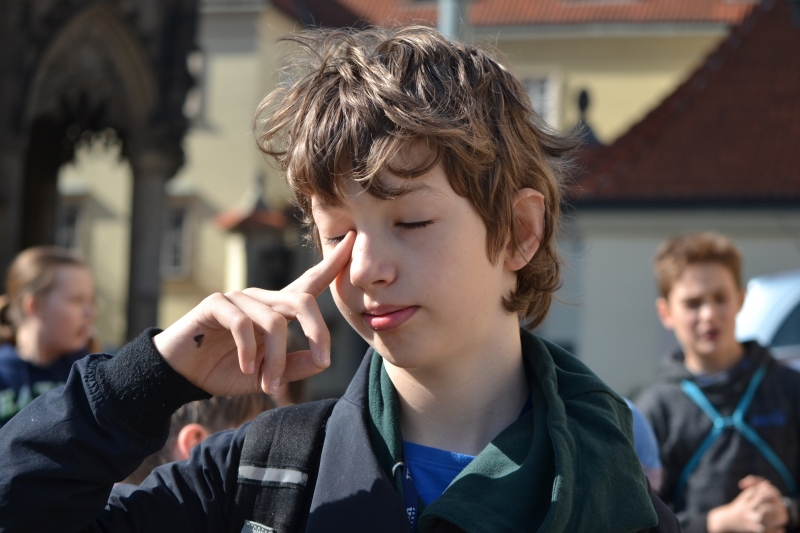 Klikněte pro zobrazení původního (velkého) obrázku