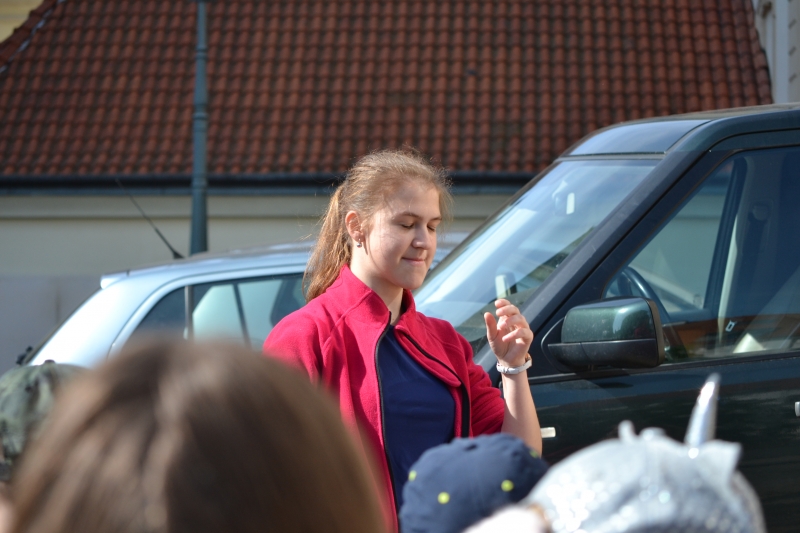 Klikněte pro zobrazení původního (velkého) obrázku