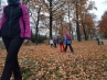 20181110_161004.jpg
