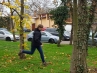20181111_091754.jpg
