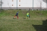 DSC_0515.JPG