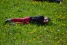DSC_0537~0.JPG