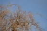 DSC_0538.JPG