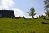 DSC_0544~0.JPG