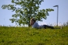 DSC_0555.JPG
