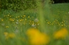 DSC_0646.JPG