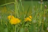 DSC_0647.JPG