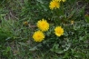 DSC_0707.JPG