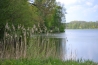 DSC_1071.JPG