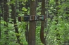 DSC_1073.JPG