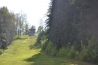 DSC_1089.JPG
