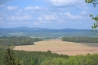DSC_1110.JPG