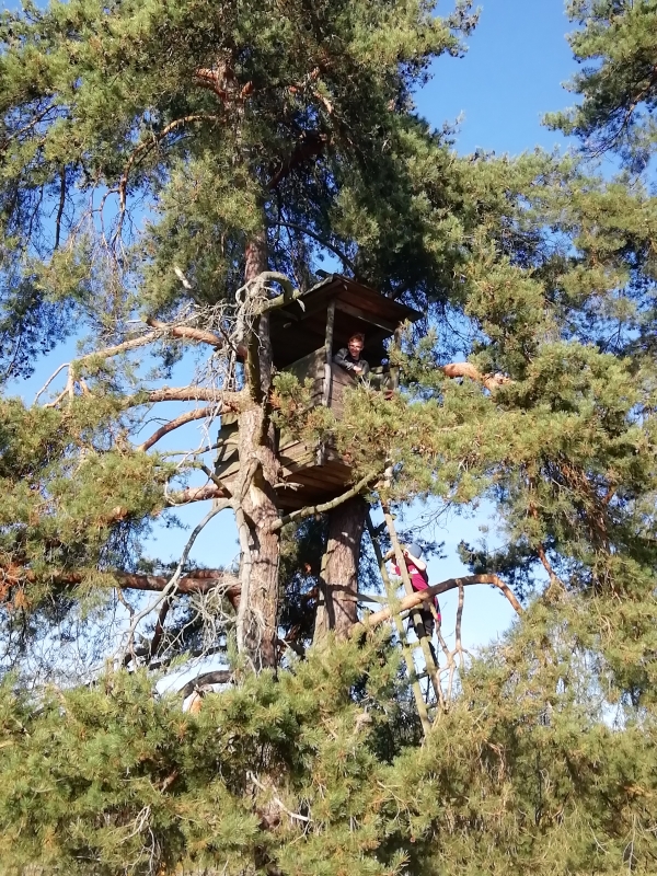 Klikněte pro zobrazení původního (velkého) obrázku