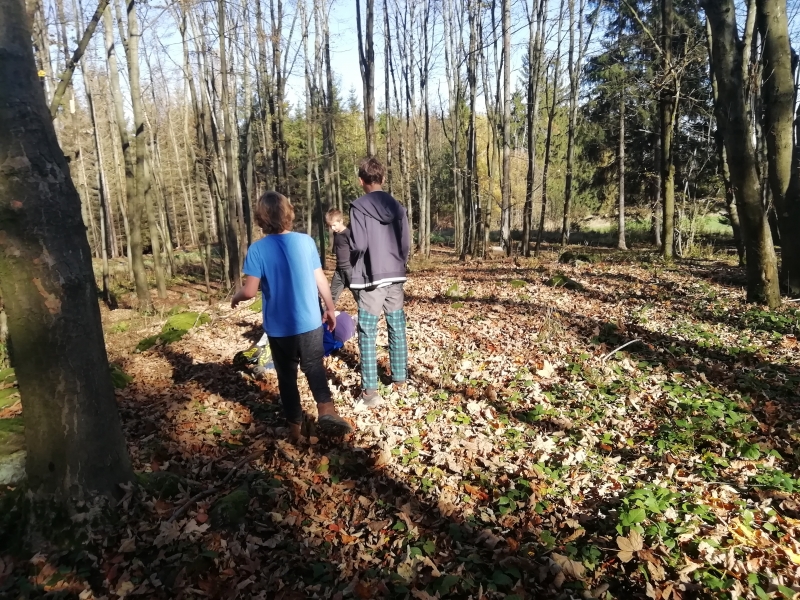 Klikněte pro zobrazení původního (velkého) obrázku