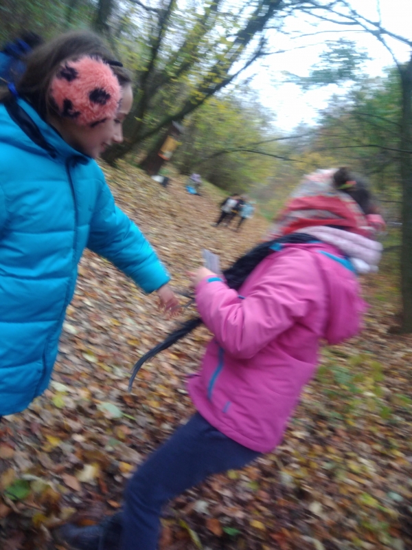 Klikněte pro zobrazení původního (velkého) obrázku