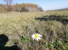 IMG_20191026_132710.jpg