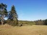 IMG_20191026_152410.jpg