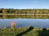 IMG_20191026_152716.jpg