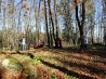 IMG_20191027_103704.jpg