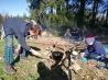 IMG_20191027_120016.jpg