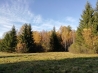 IMG_20191027_150300.jpg