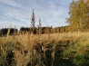 IMG_20191027_153304.jpg