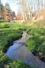 DSC_4976.JPG